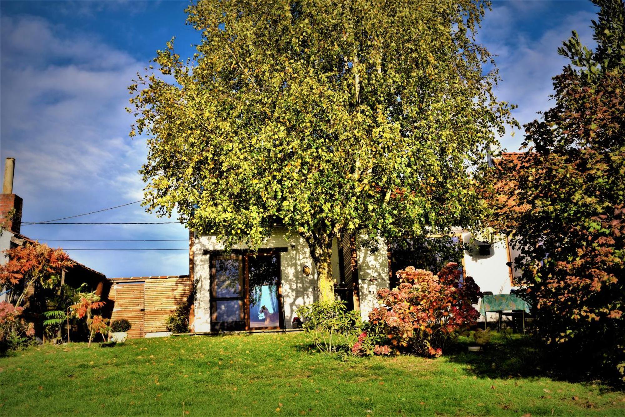 Maison Jeanny, Full House With Big Garden Frasnes-lez-Anvaing Екстериор снимка